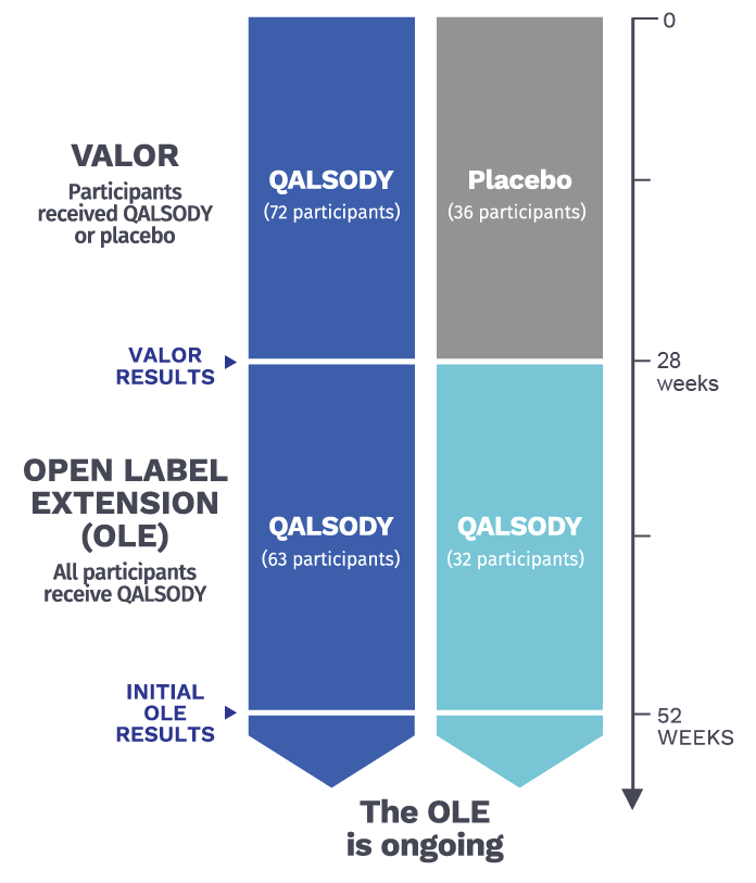 VALOR clinical study design